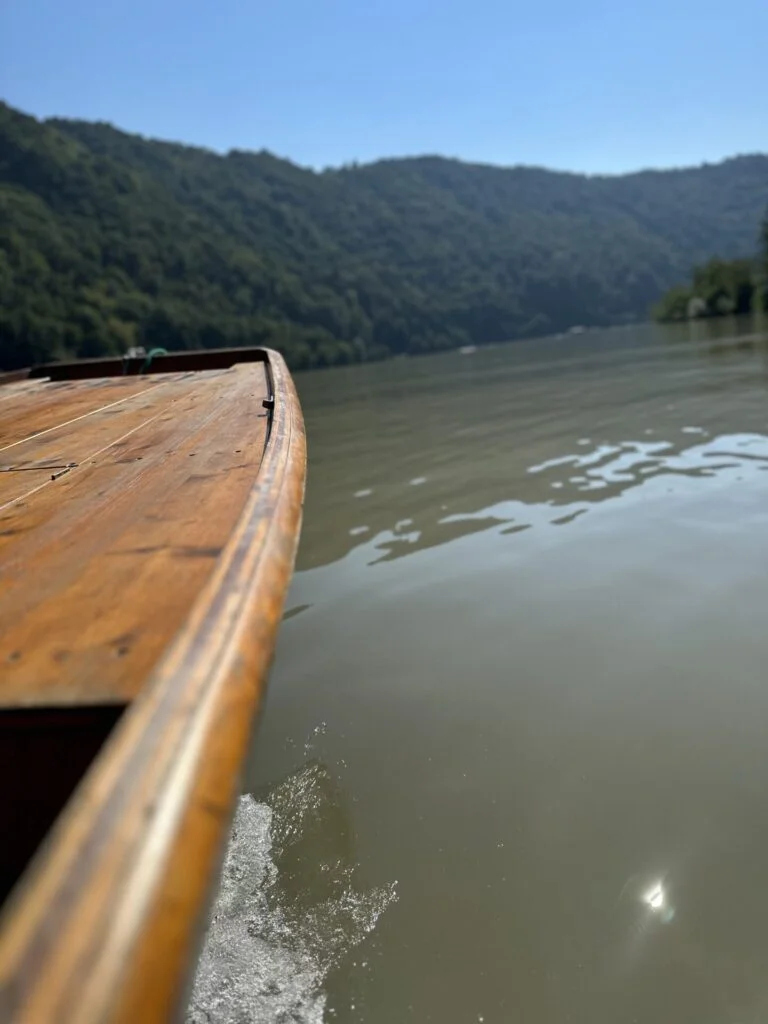 Blick von der Zille Amelie auf die Donau bei Regensburg – Bootsverleih Flossmeister